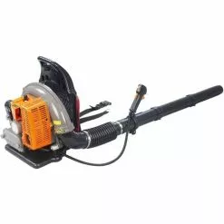 GT GARDEN Souffleur à Dos Thermique, 65 Cm3