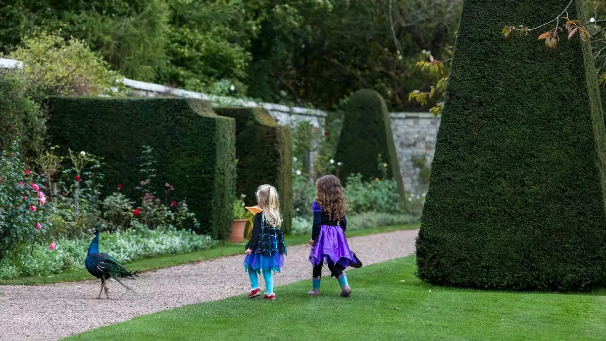 GT GARDEN Soldes -GT GARDEN Soldes 137